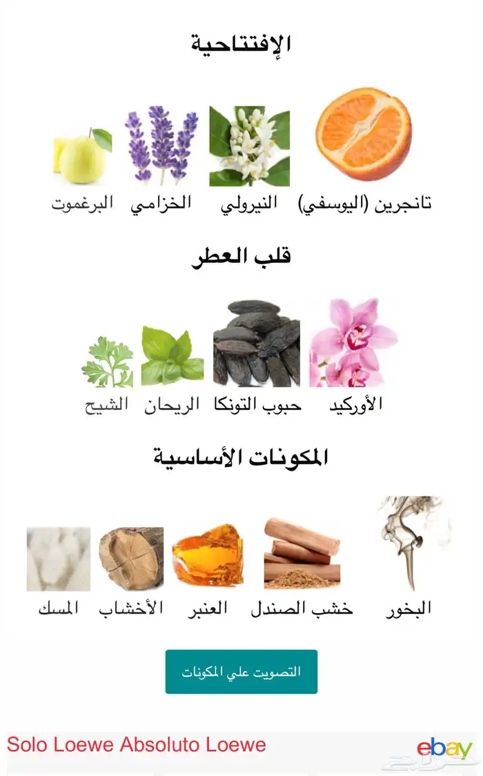 عطر سولو لويفي ابسلوت 3