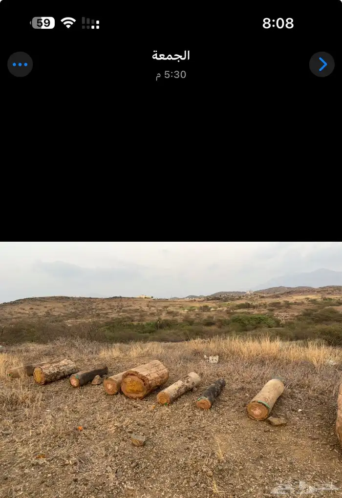 عسل شمع - خزاين وسحايه - 3