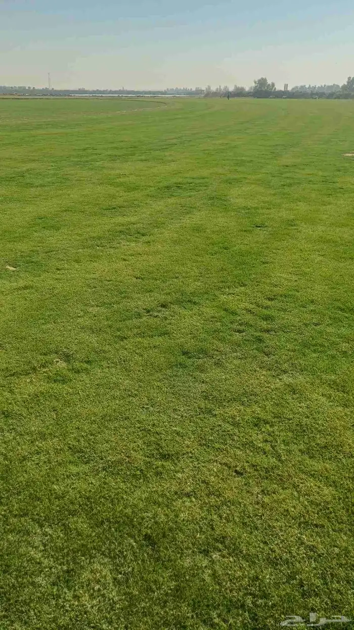 مستحات خضراء 3