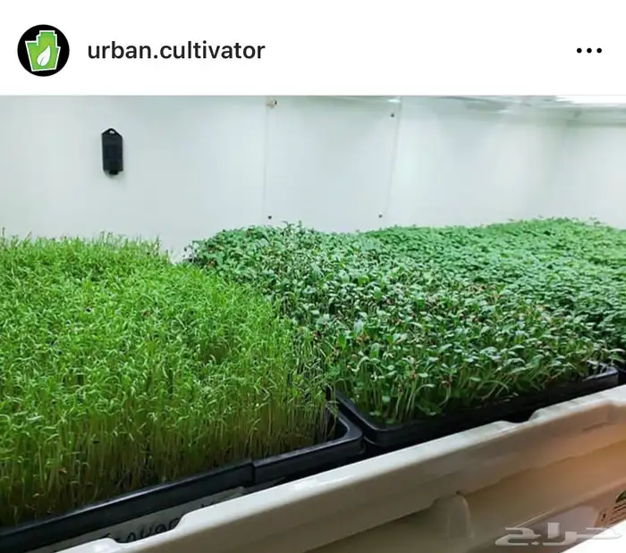 ثلاجات الزراعة العضويه 4