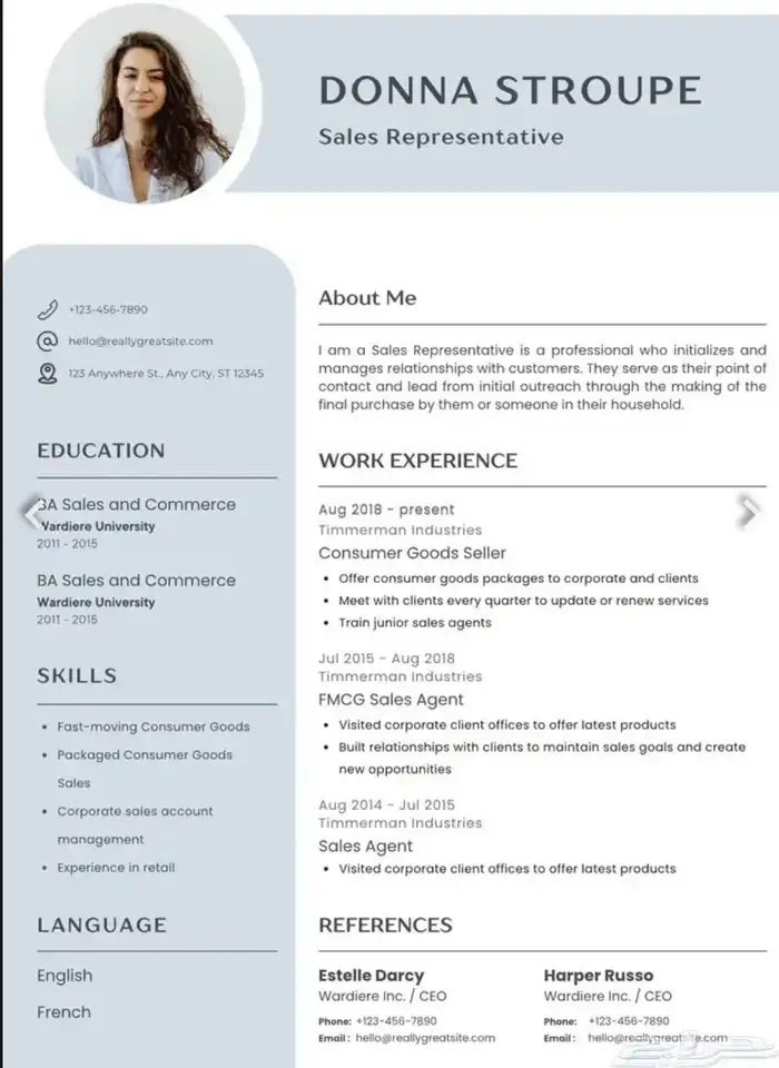 تصميم سير ذاتيه ATS احترافيه 1