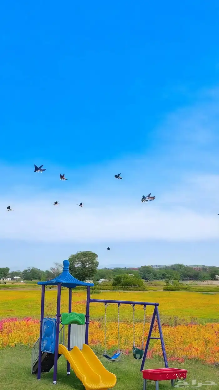 العاب مراجيه أطفال 0