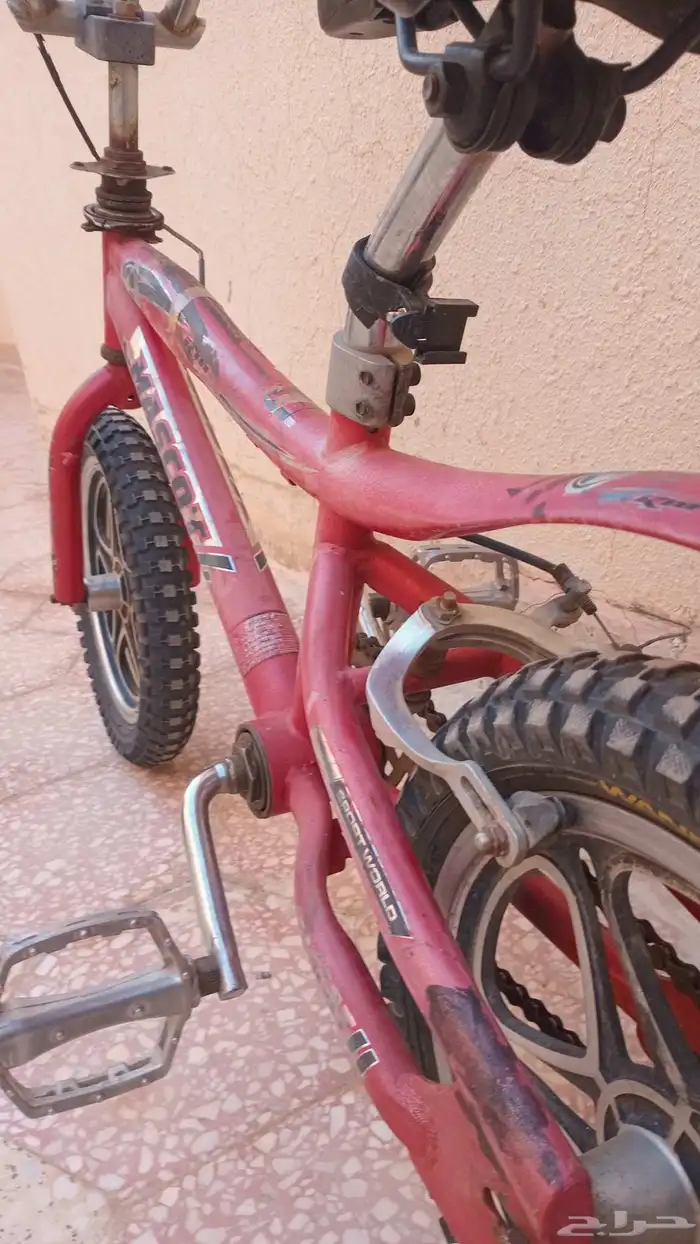 سيكل كوبرا مقاس 16 مافيه شي ماعادا الكفر الي ورا يبيلو تغيير 1