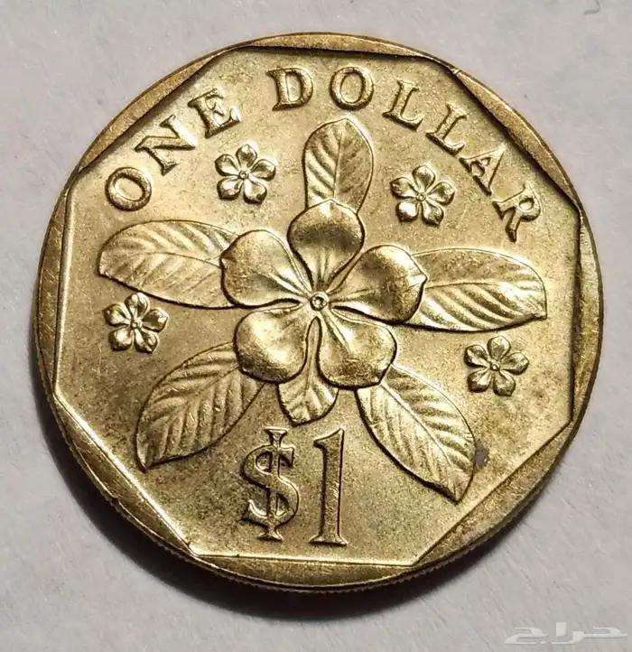 عملات نقدية متنوعة 3