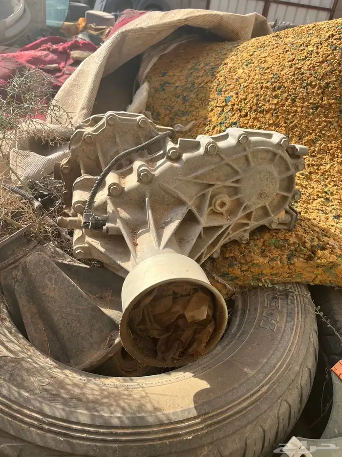 دبل ددسن مدبله2015 1