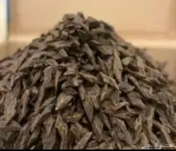 عود تايقر فتنامي 0