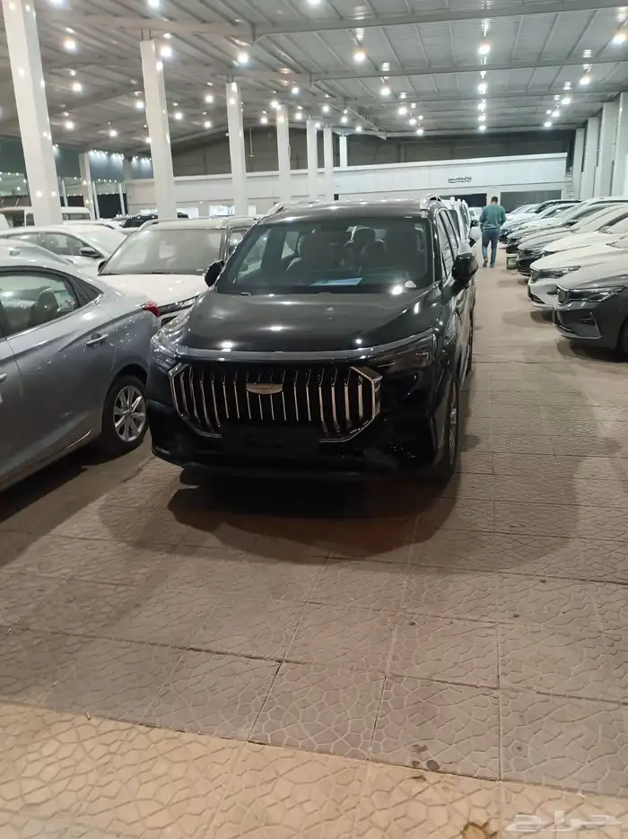 جيلي اوكافانجو 2025 6