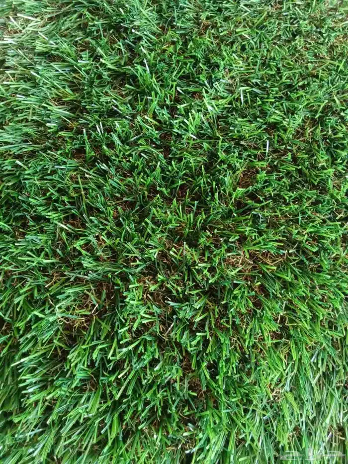 عشب صناعي 3