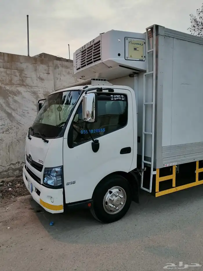 دينا هينو 2013 0