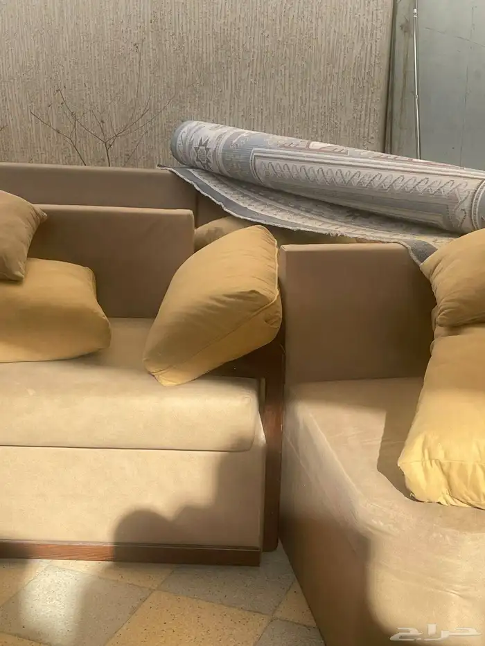 دينا طش بالرياض 0