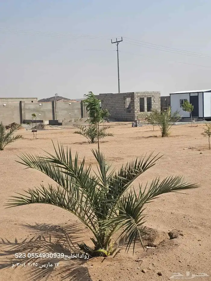 للبيع مزرعة في الغولاء شمال جدة بالقرب من جامعة عسفان 6