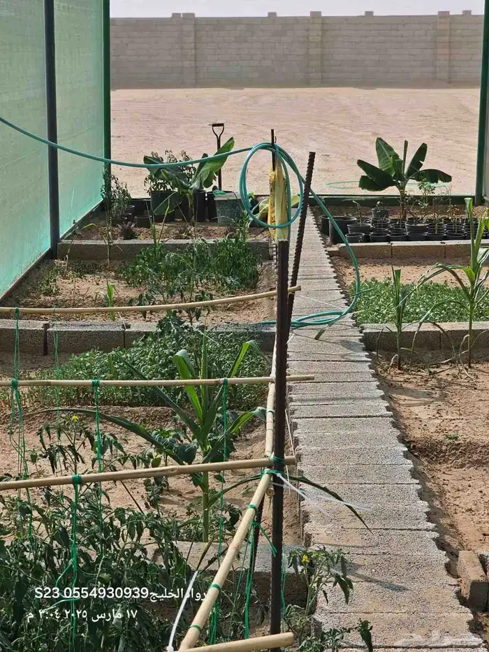 للبيع مزرعة في الغولاء شمال جدة بالقرب من جامعة عسفان 9