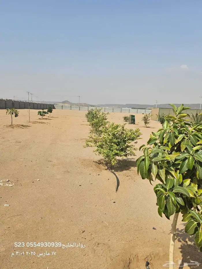 للبيع مزرعة في الغولاء شمال جدة بالقرب من جامعة عسفان 2