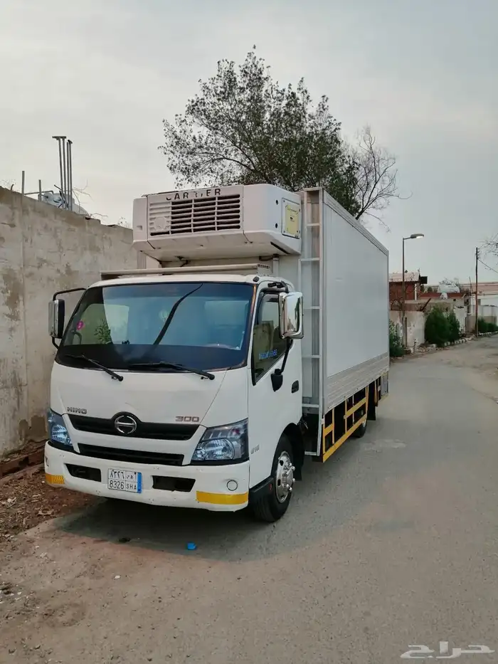 دينا هينو 2013 1