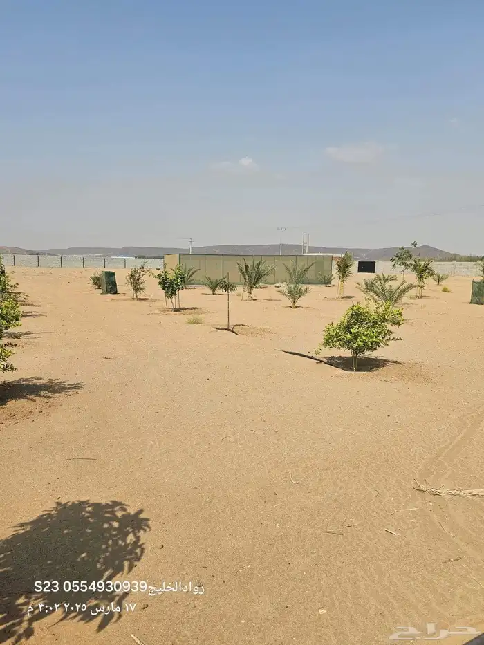 للبيع مزرعة في الغولاء شمال جدة بالقرب من جامعة عسفان 5