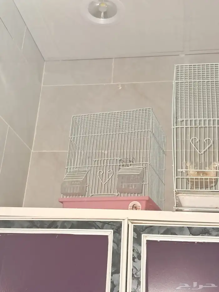 اقفاص طيور 3