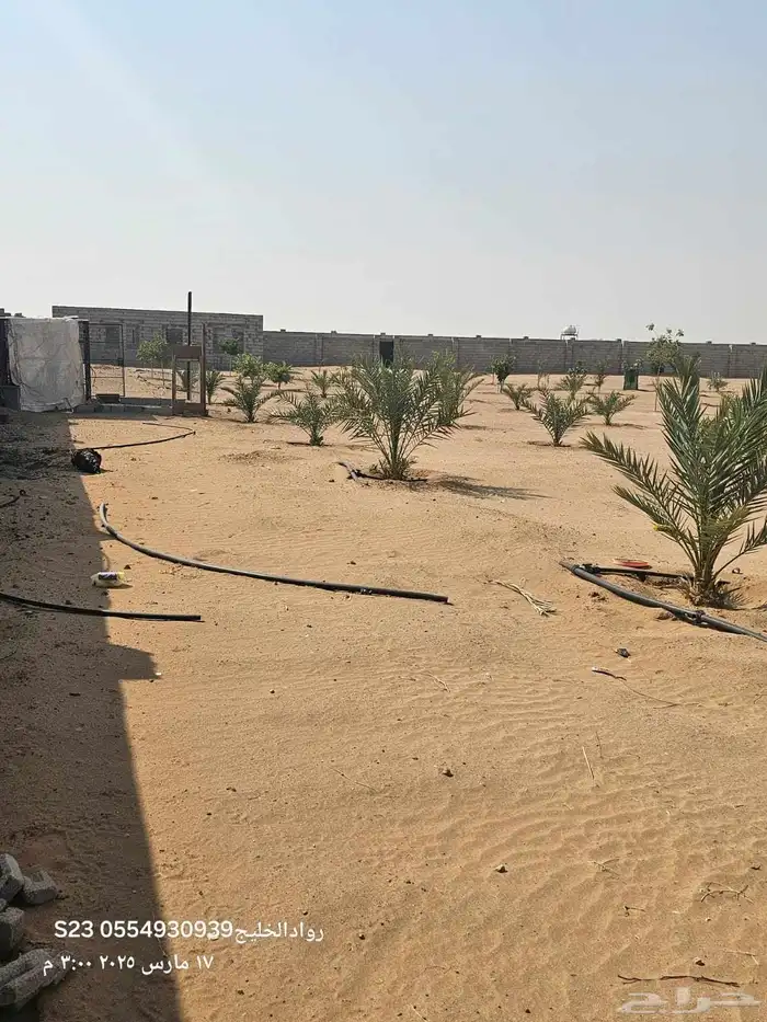 للبيع مزرعة في الغولاء شمال جدة بالقرب من جامعة عسفان 3