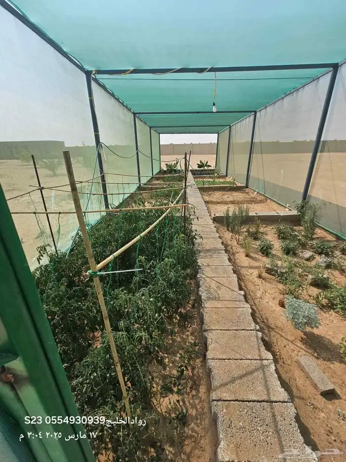 للبيع مزرعة في الغولاء شمال جدة بالقرب من جامعة عسفان 4