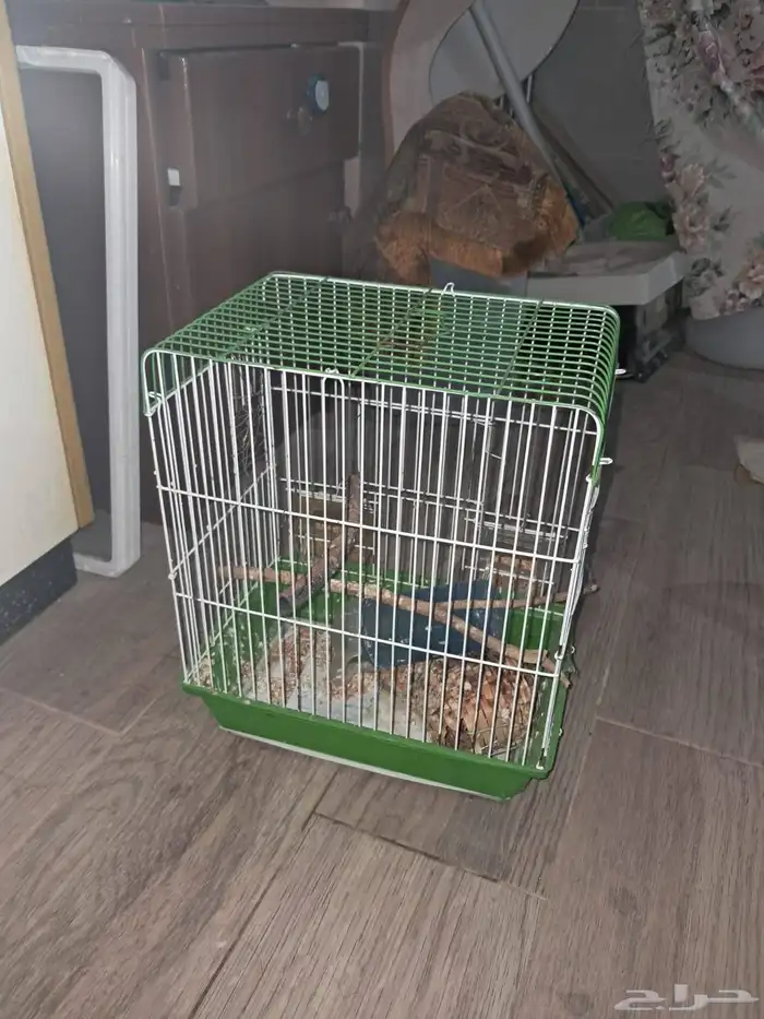 اقفاص طيور 4