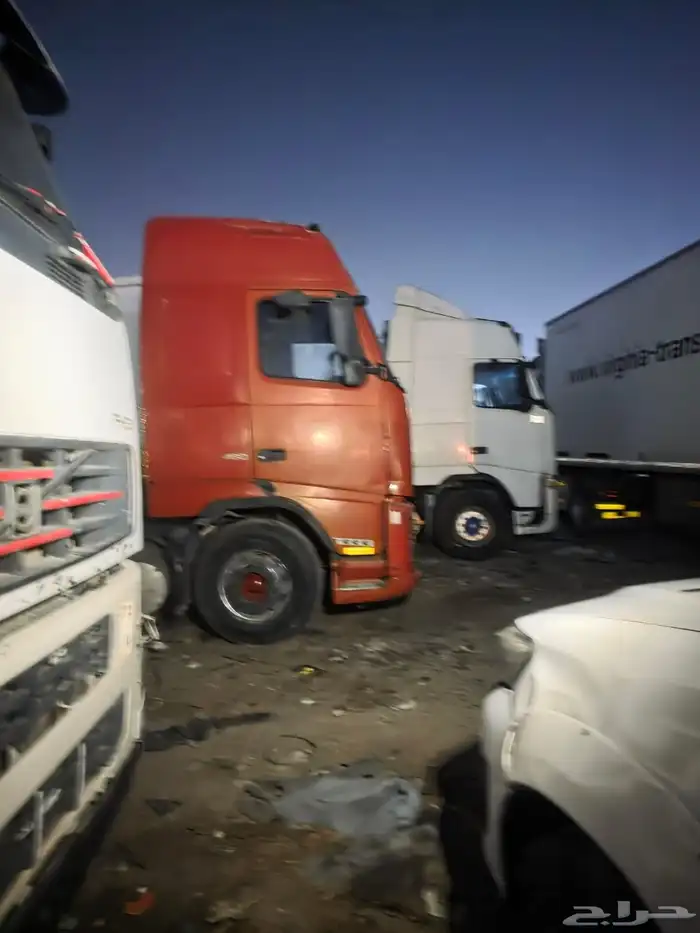 فلافل للبيع 9