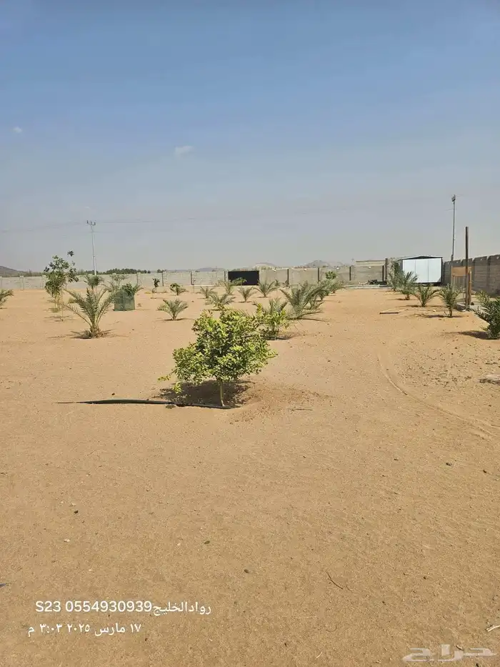 للبيع مزرعة في الغولاء شمال جدة بالقرب من جامعة عسفان 7