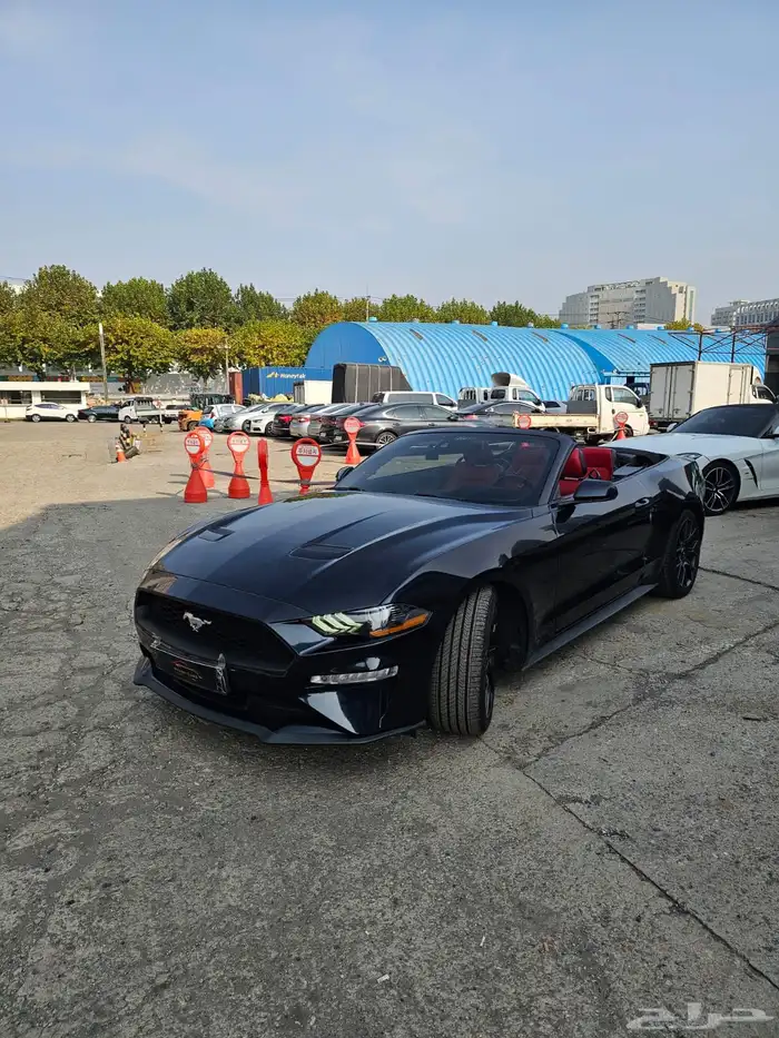 موستنج 2021 كشف(بحاله ممتازة) 1