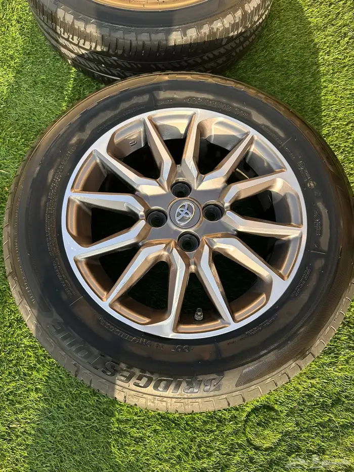 جنوط يارس وفكرات وكاله 2023 0