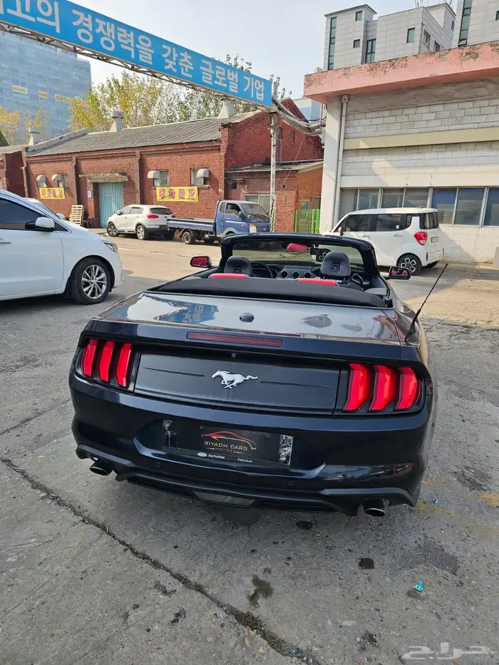 موستنج 2021 كشف(بحاله ممتازة) 4