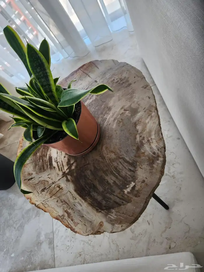 طاولة وBarrymore Coffee Table ثلاث ث طاولات جانبية 2