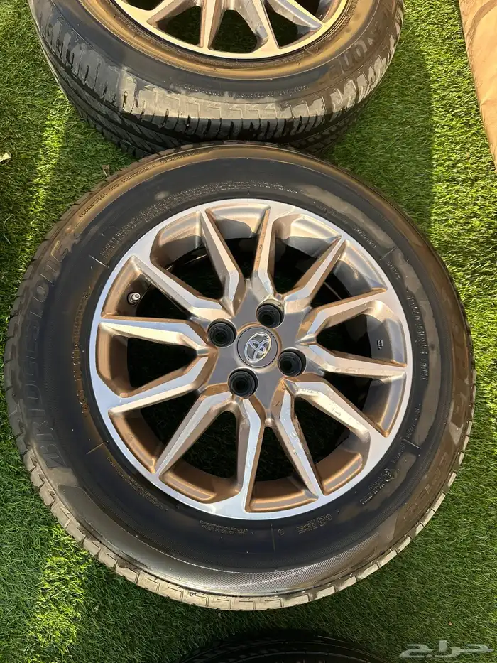 جنوط يارس وفكرات وكاله 2023 6