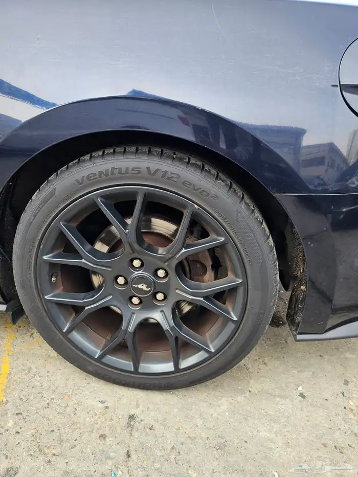 موستنج 2021 كشف(بحاله ممتازة) 5