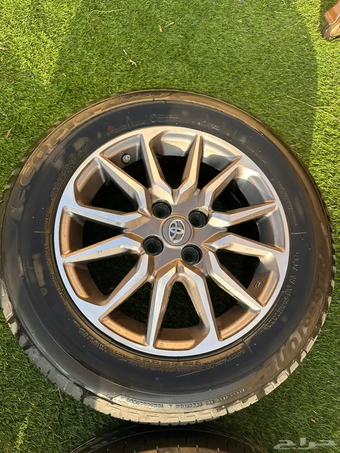 جنوط يارس وفكرات وكاله 2023 4