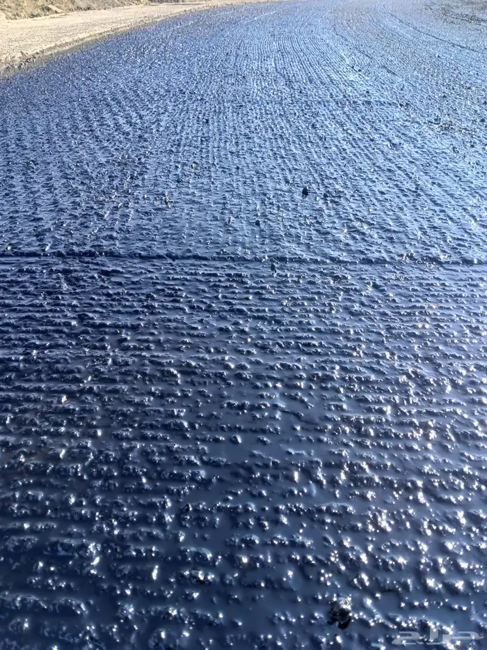 السلام عليكم 0