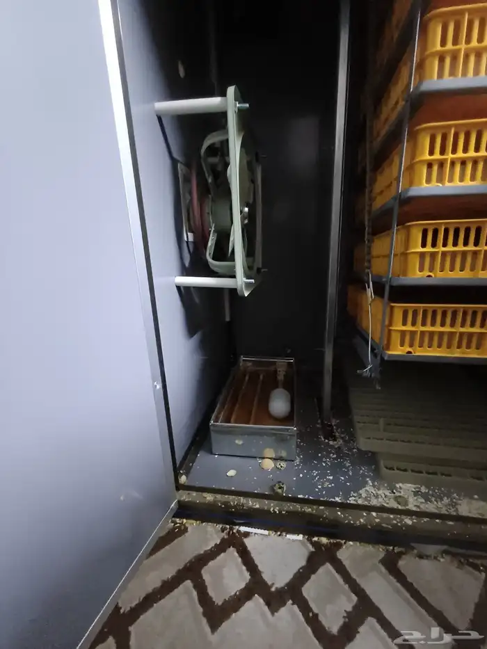 فقاسه1050بيضه 3