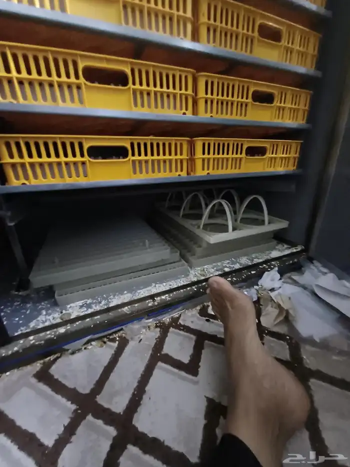 فقاسه1050بيضه 5