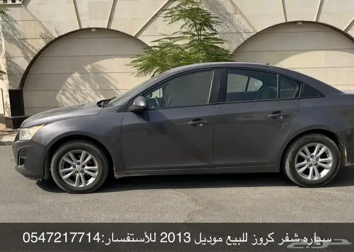 شفر كروز 2013 1