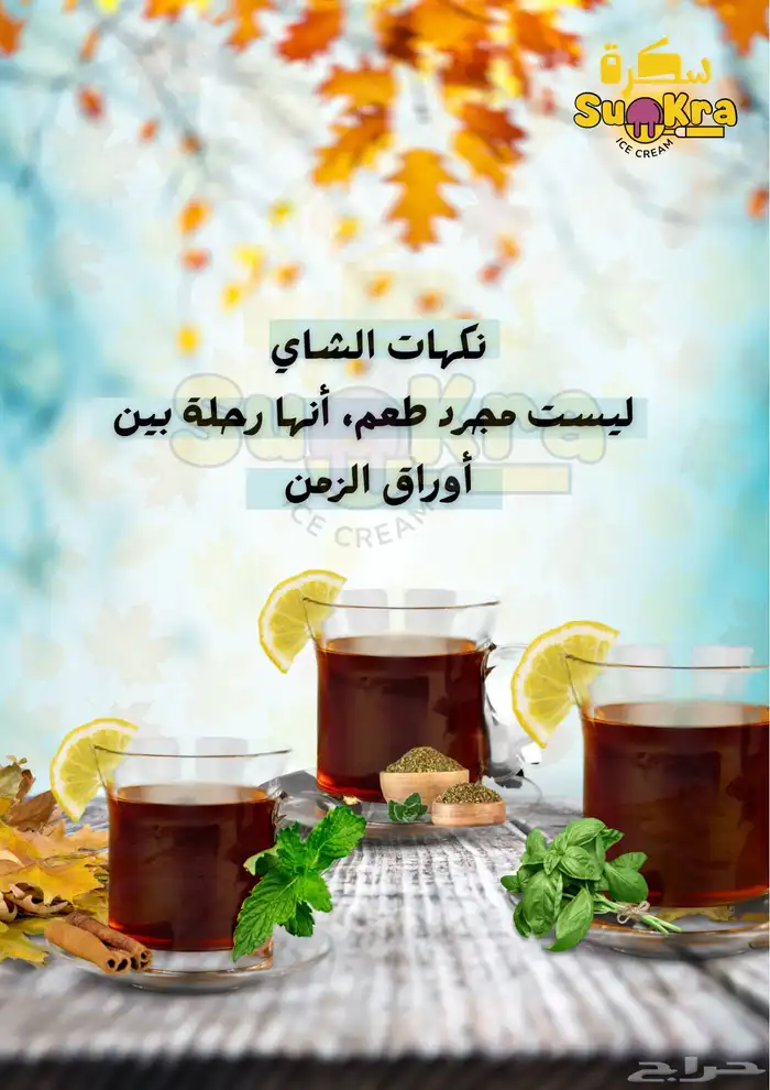 تصميم بوسترات ولوقو 3