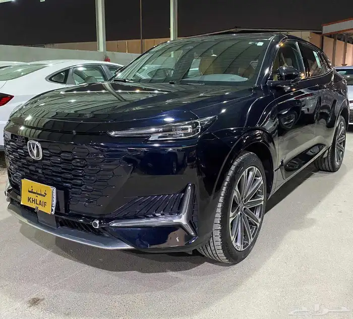 شانجان يونى كى 2023 1