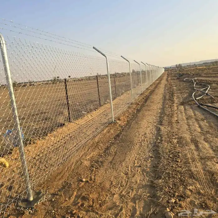 يوجد لدينا توريد جميع انواع شبوك ونخل شينكو 5