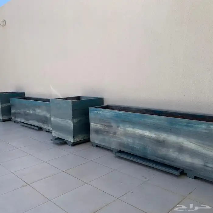 مؤسسة زهرة الخليج الزراعية -نجران -دحضة 4