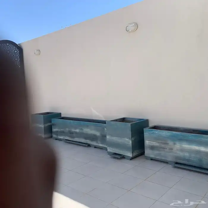 مؤسسة زهرة الخليج الزراعية -نجران -دحضة 3