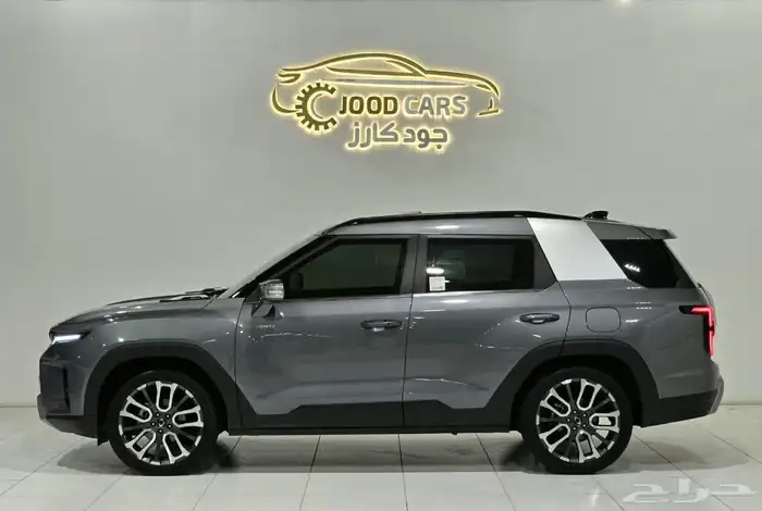 سانج يونج توريس موديل 2023 بحالة ممتازة 3