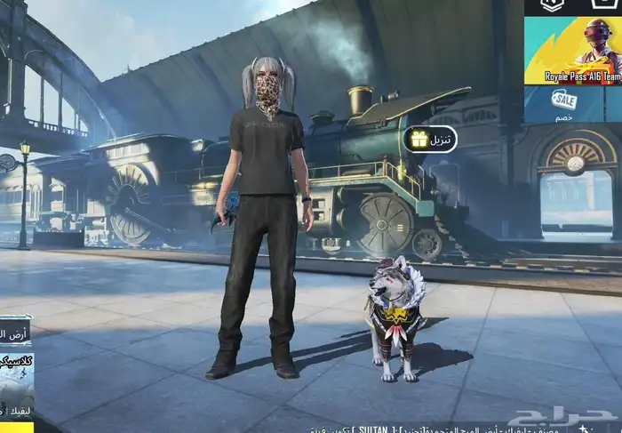 حساب ببجي للبيع 0