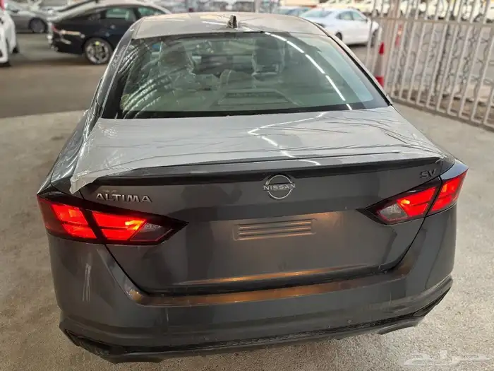 التيما ستاندر ونص فل 2026 1