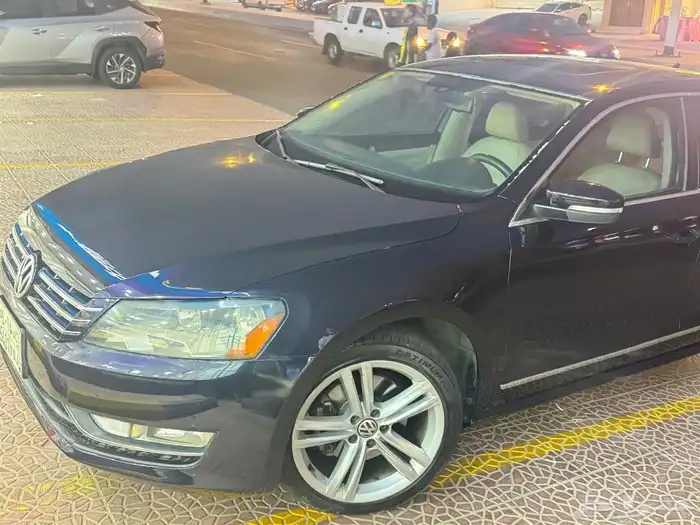 فولكس فاجن باسات 2014 3