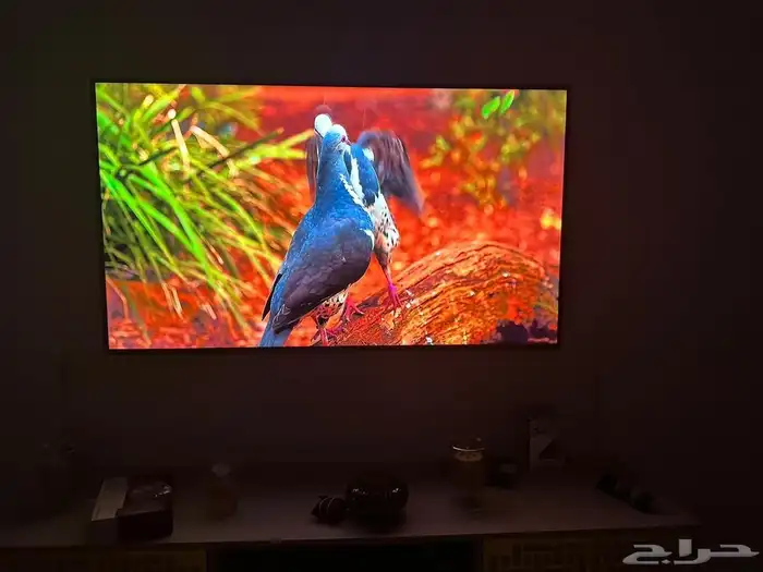 شاشة 50 بوصة من سامسونج 0