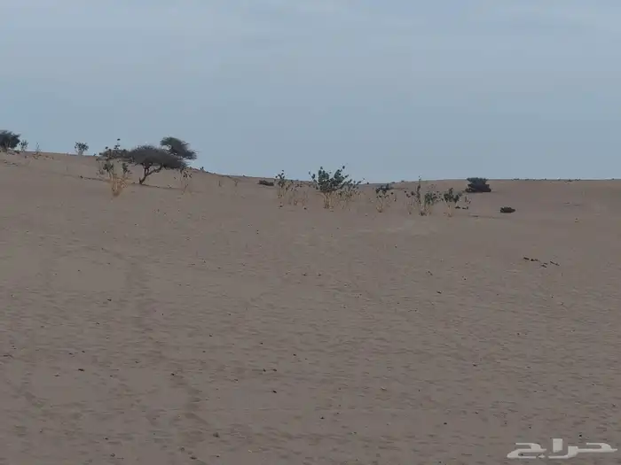 يوجد لدينا درون ميني 5كومبو بلس للتعليم والاجار والترفيه . 0