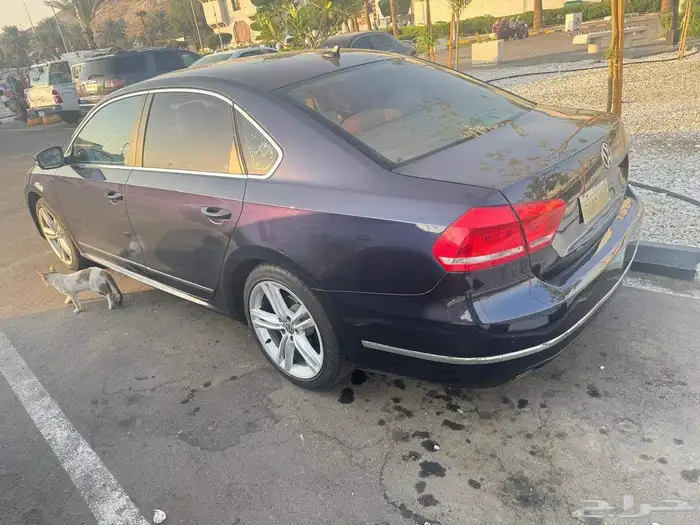 فولكس فاجن باسات 2014 5