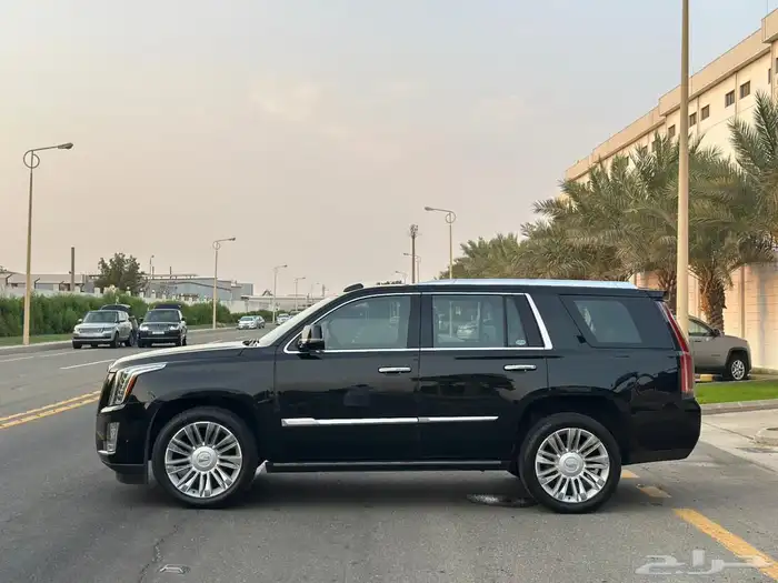 كاديلاك اسكاليد 2020 بلاتينيوم 4