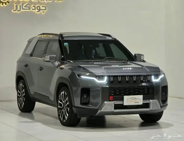 سانج يونج توريس موديل 2023 بحالة ممتازة 5